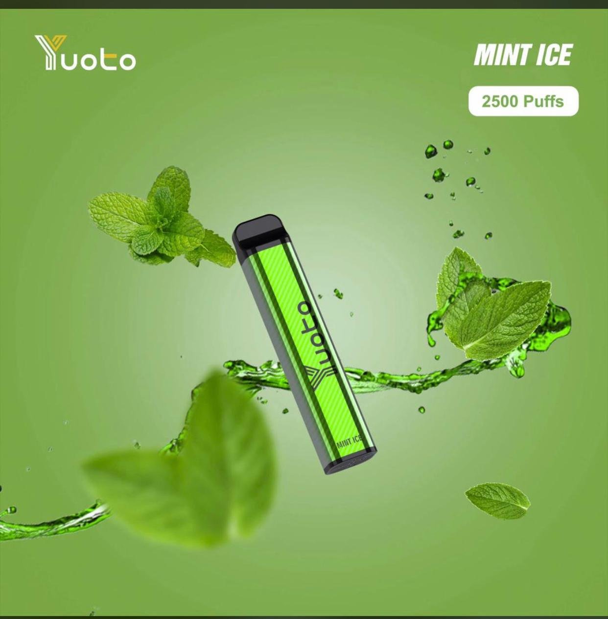 WhatsApp-Image-2021-01-28-at-3.05.09-PM-1-1.jpeg Yuoto xxl Mint Ice 2500puffs - Image 1