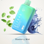ELFBAR Blueberry mint 10k puffs 20mg